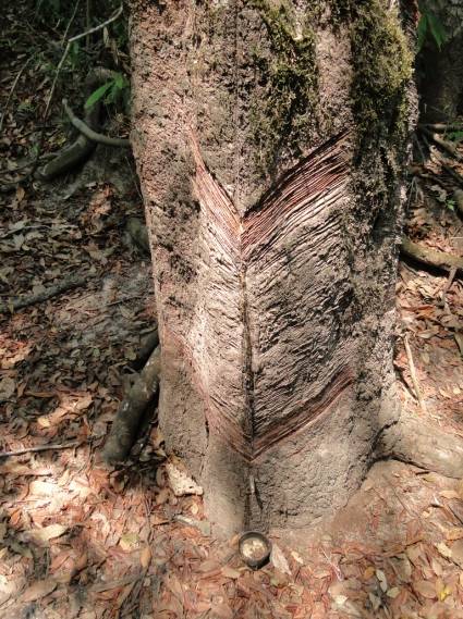 04 resex riocautario semdata