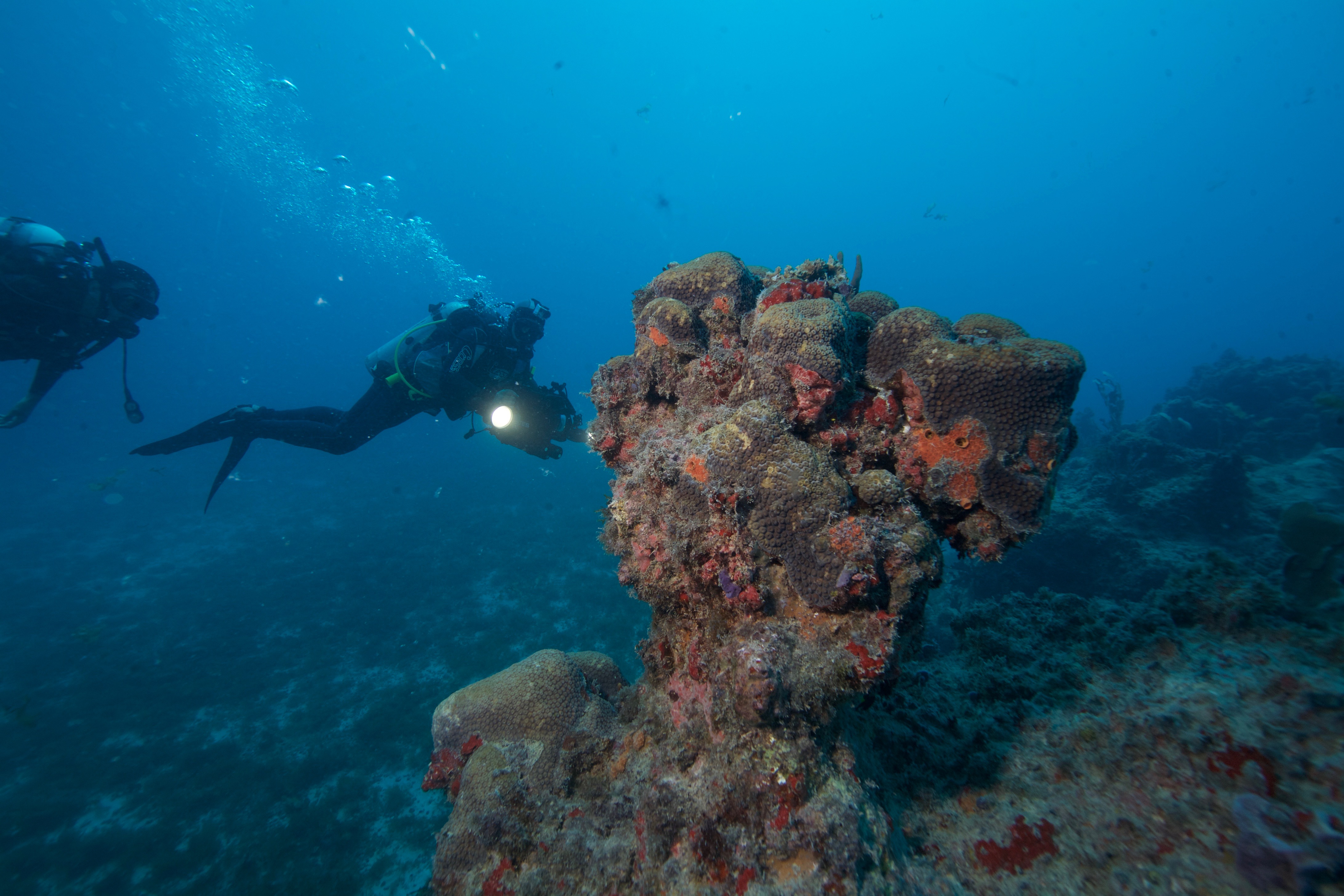 Parque Nacional Marinho dos Abrolhos (Enrico Marcovaldi)