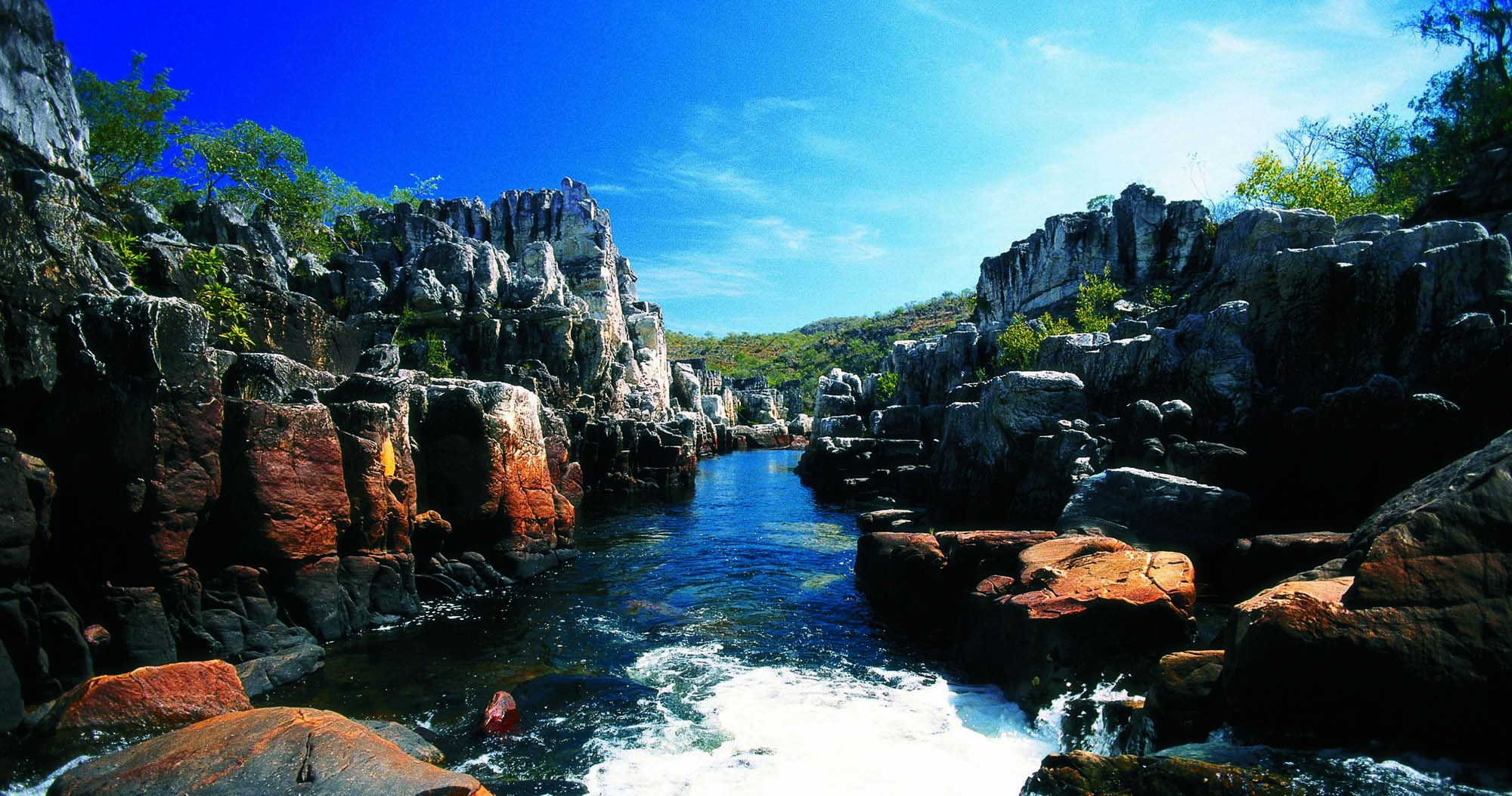 06 parna chapadadosveadeiros semdata Ion Davi