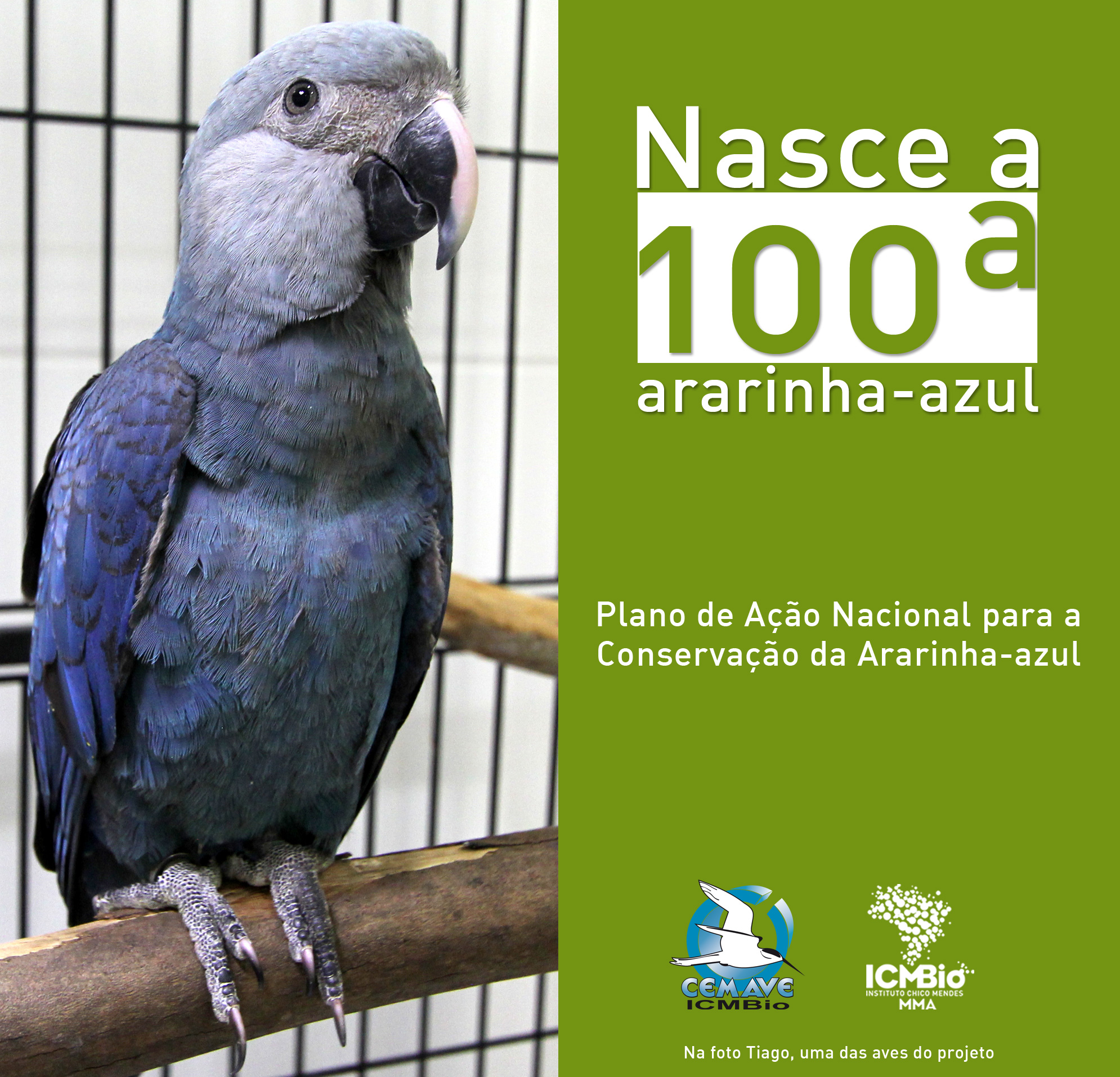 © Todos os direitos reservados. Foto: João Freire