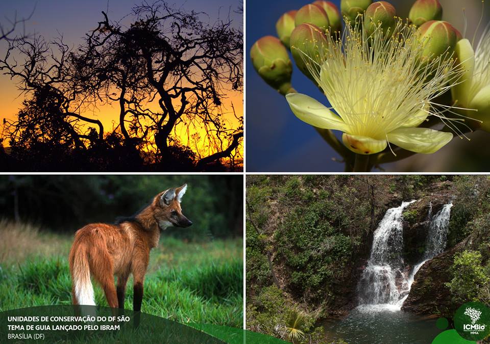 Após incêndio, Serra do Cipó é reaberto ao público