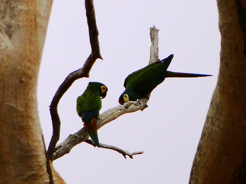 1458563 522513291192653 32480735 n