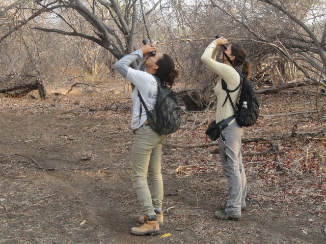 15219462 1032541493523161 2606374316236537125 n