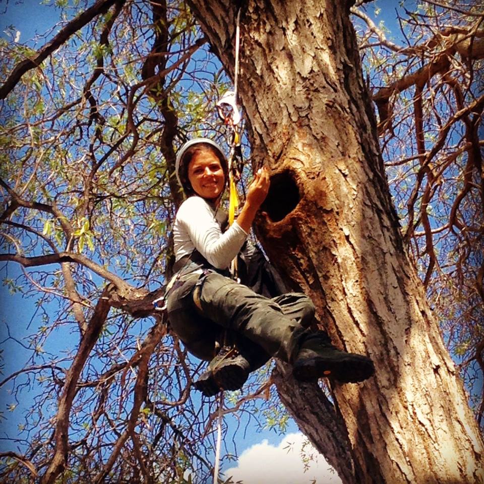 15590605 1063649943745649 8875949149792584975 n Cópia