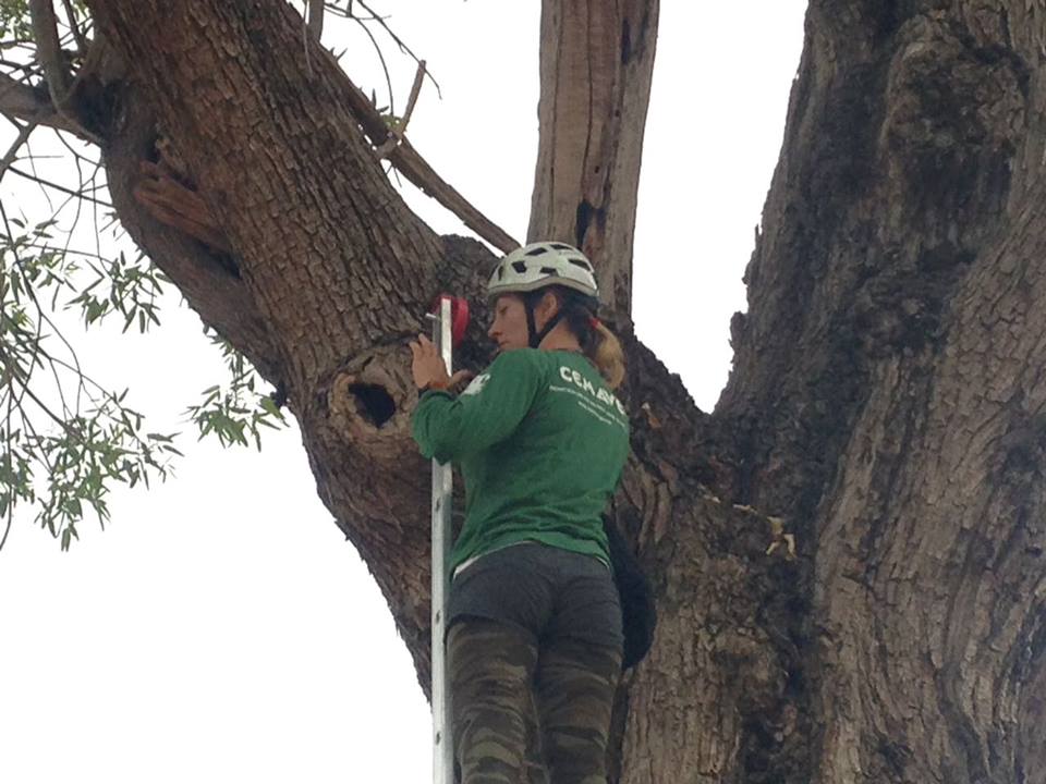 15697560 1063650280412282 4192879817375301662 n