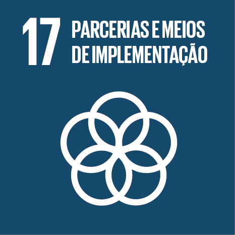 17 Parcerias e meios de implementação