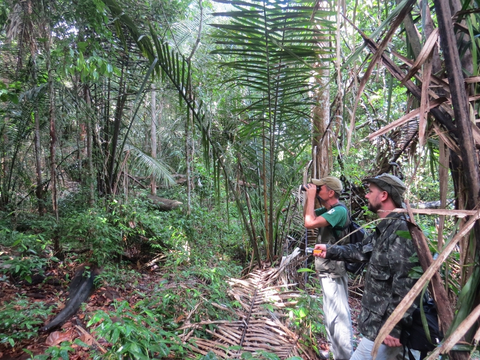 1Foto 1 Diego Mendes