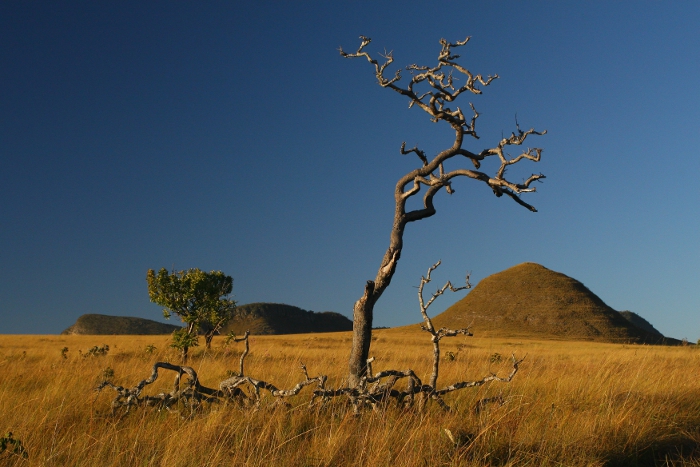 1Parna da Chapada dos Veadeiros 8