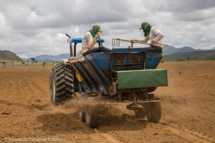 1Semeadura mecânica no Plantio de 2016