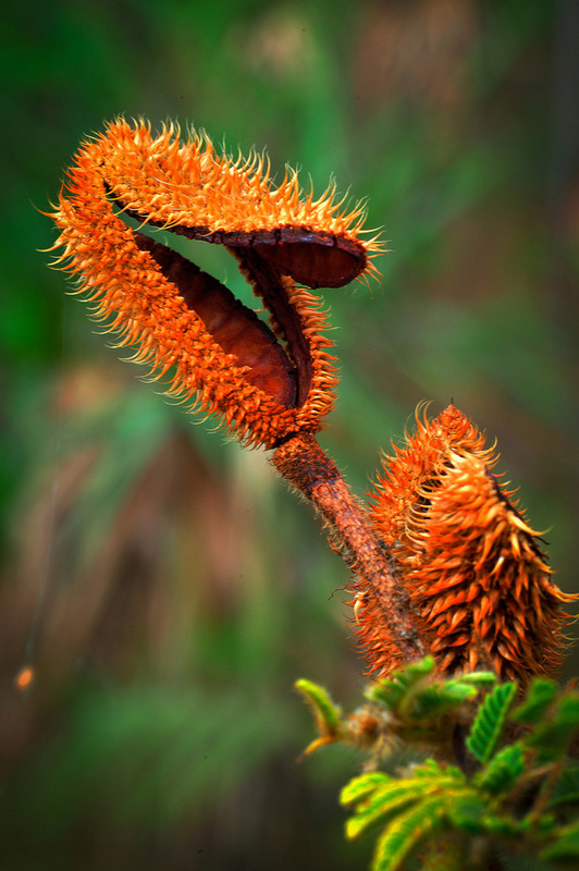 © Todos os direitos reservados. Foto: Luis Eduardo Salvatore 