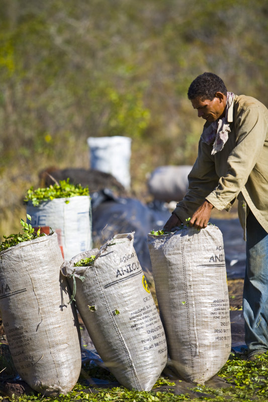 20 flona carajas 2009