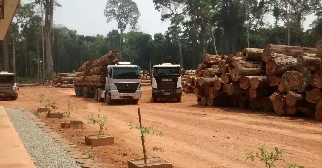 2017 08 02 Audicia Lote 2 Jamari