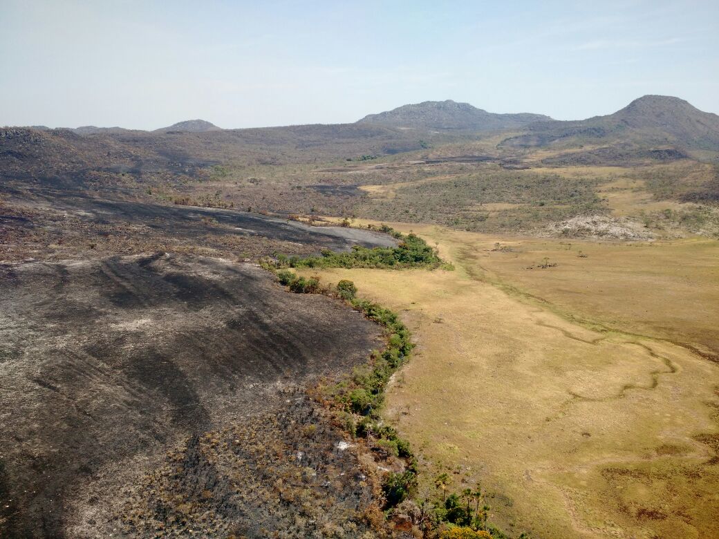Área atingida pelo incêndio. Foto: Bruno Bimbato/ICMBio