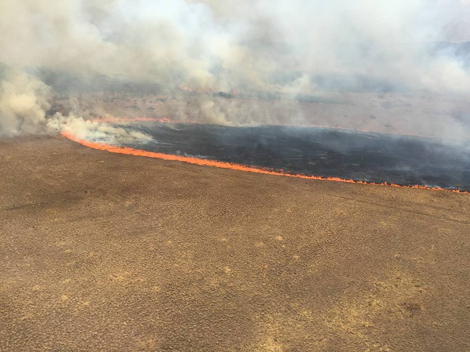 Parna Chapada dos Veadeiros (Fernando Tatagiba)