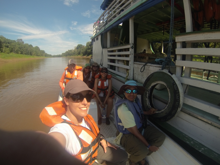 2Arquivo IDSM Amostragem voadeira