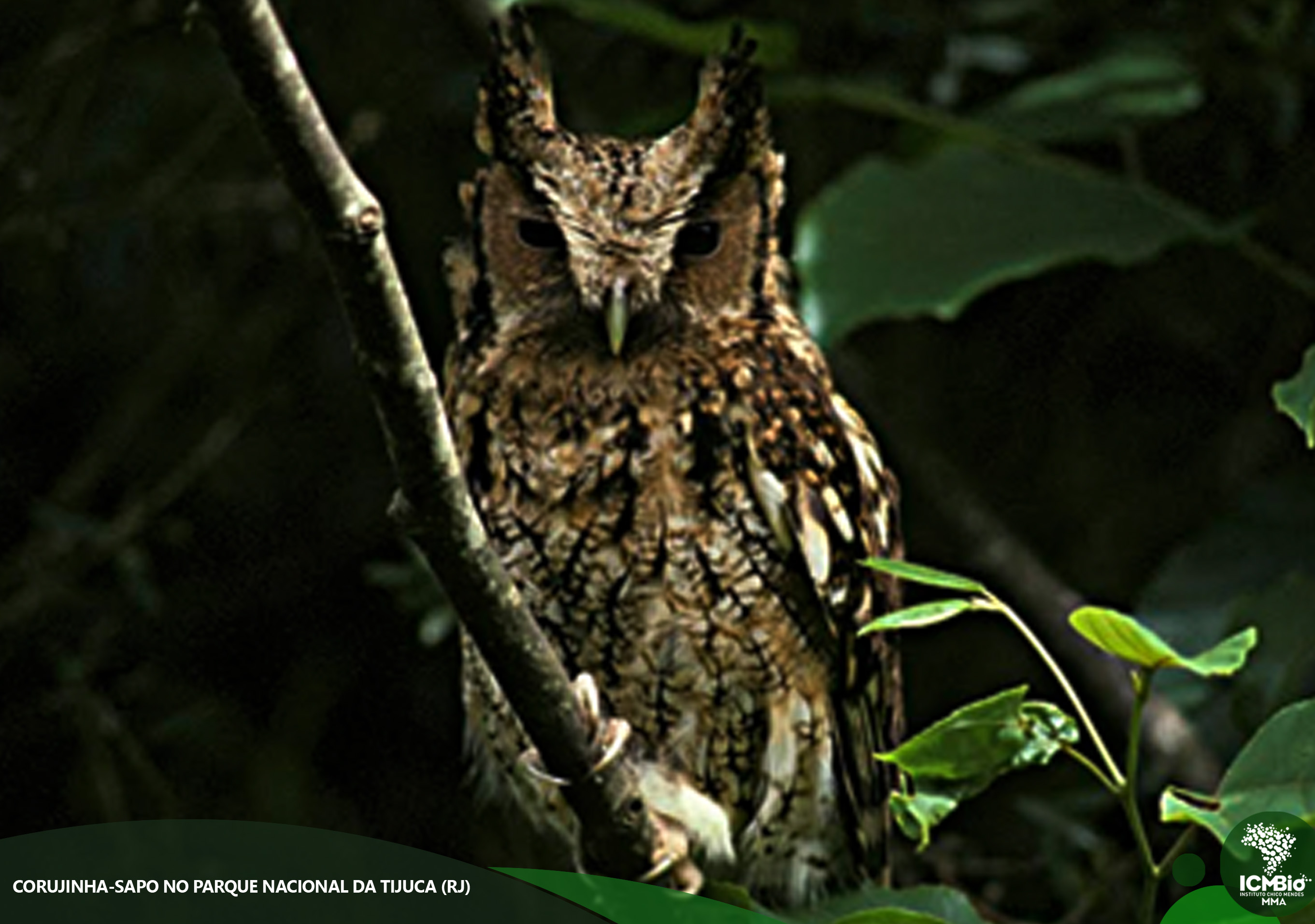 Foto: Luiz Cláudio Marigo