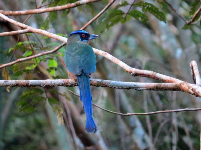 3Foto 3 Emanuel Barreto