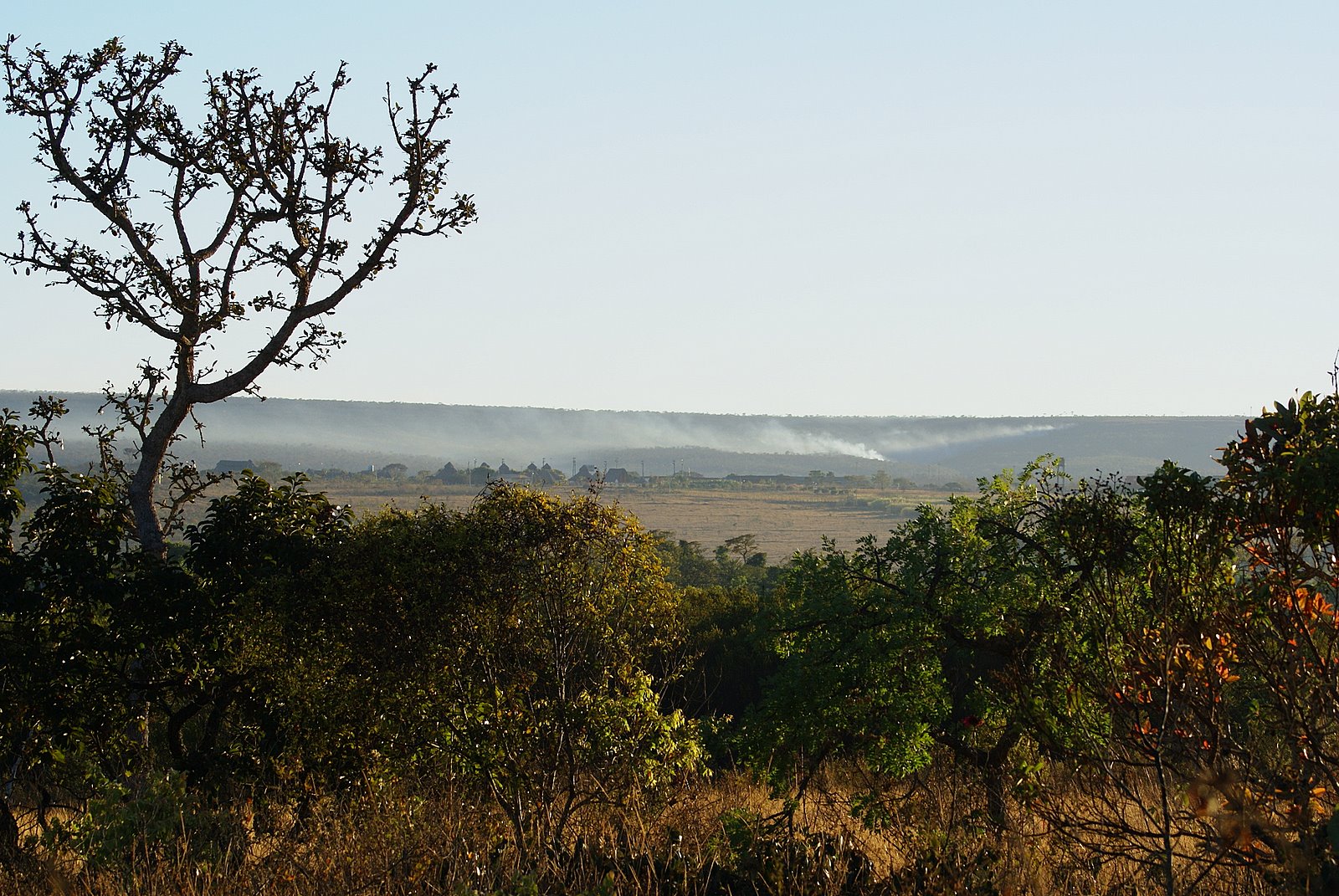 Parque Nacional de Brasília (Foto: Acervo ICMBio)