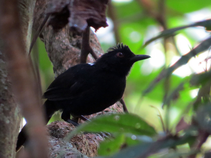 4Foto 4 Emanuel Barreto 1