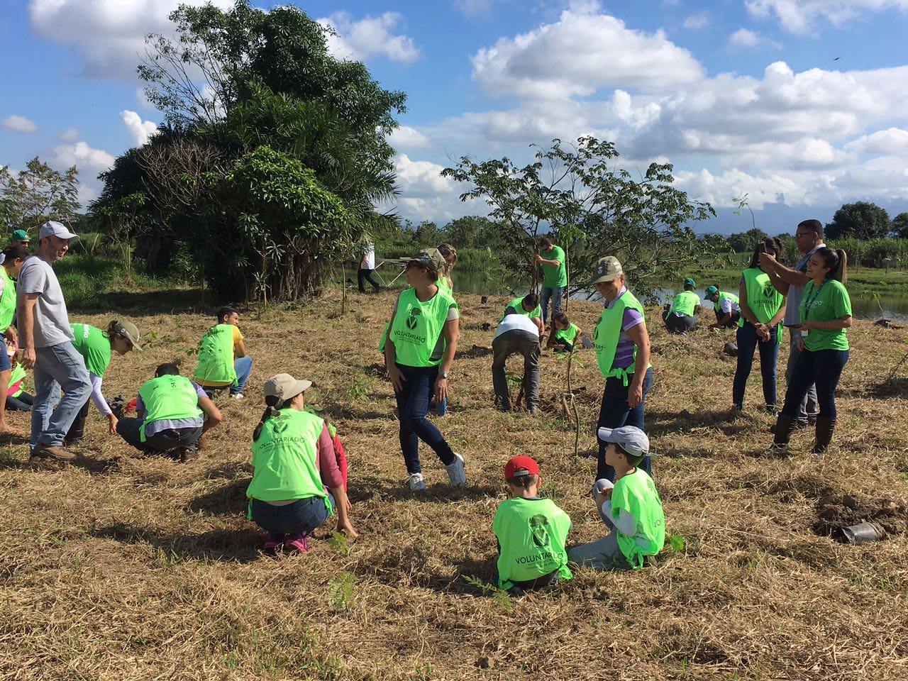 6550beb8 2b58 4982 b5b4 0b22456eb70d