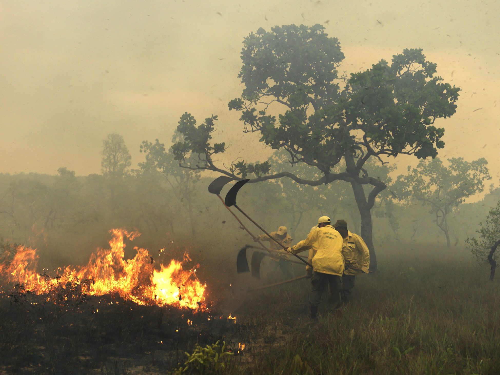 Aceiro Negro Parna Chapada das Mesas 15