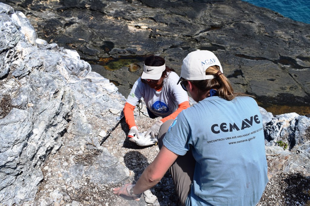 acervo parnam abrolhos 2