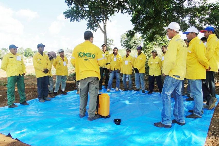 amp 10477449 1474735466149454 4498406584100031430 n