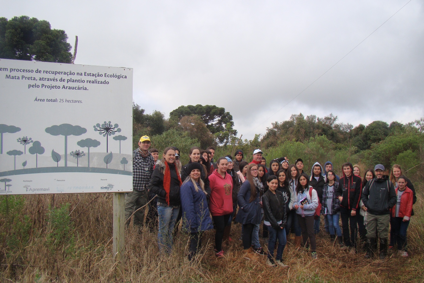 Ana Carolina Machado