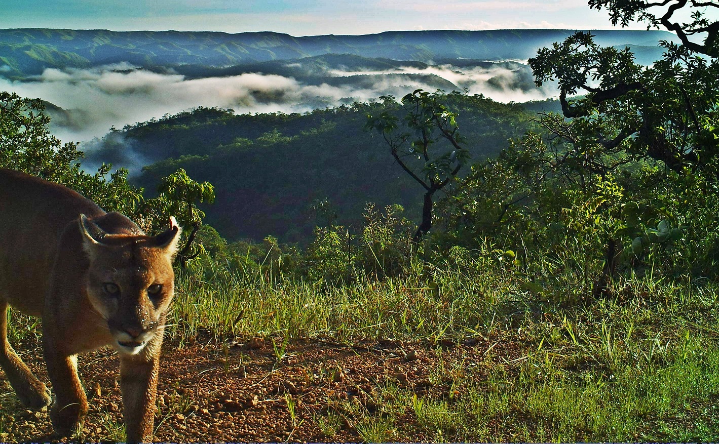 apa planaltocentral Acervo APA do Planalto Central 2