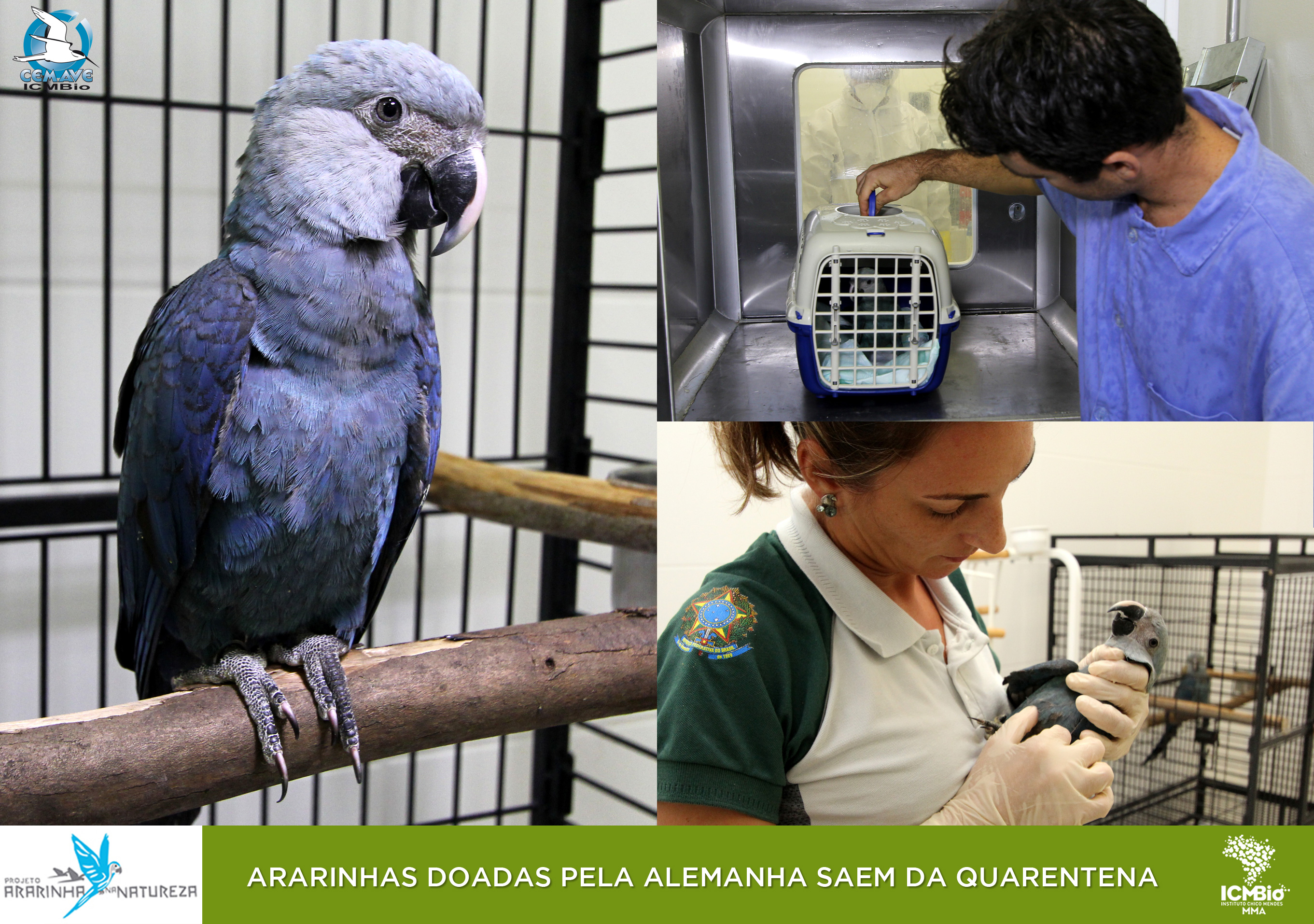 © Todos os direitos reservados. Fotos: João Freire