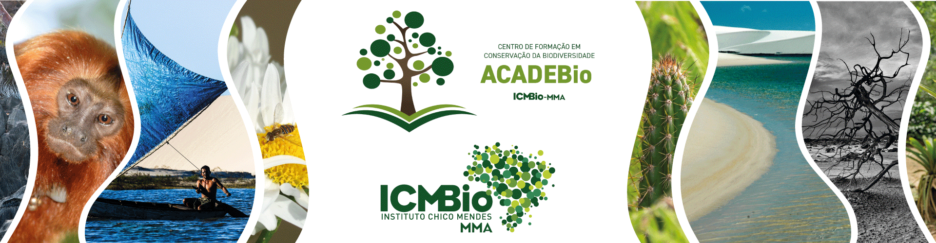 Biblioteca ICMBio