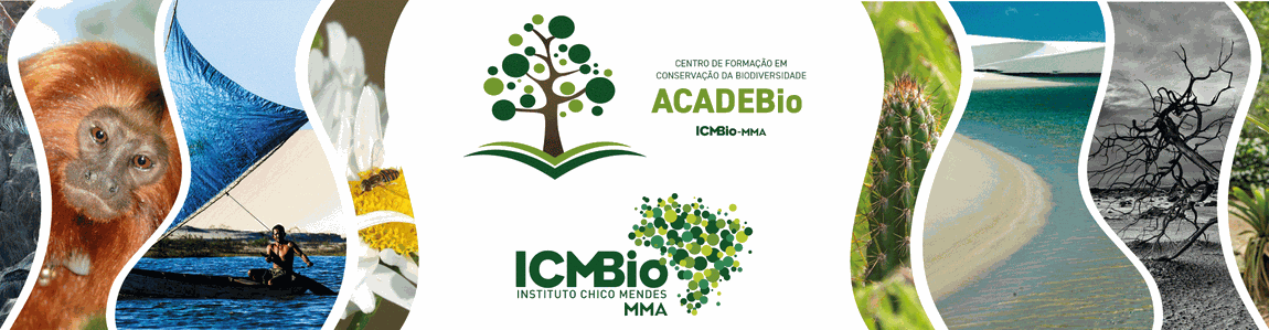 Biblioteca ICMBio