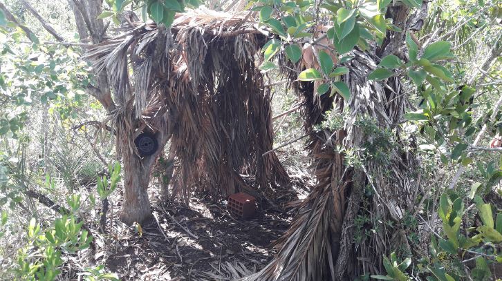 Cabana para “espera” no interior do Parque Nacional de Brasília. (Foto: Acervo ICMBio)