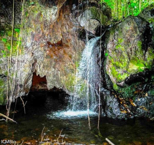 Cachoeira campos ferruginosos ICMBio