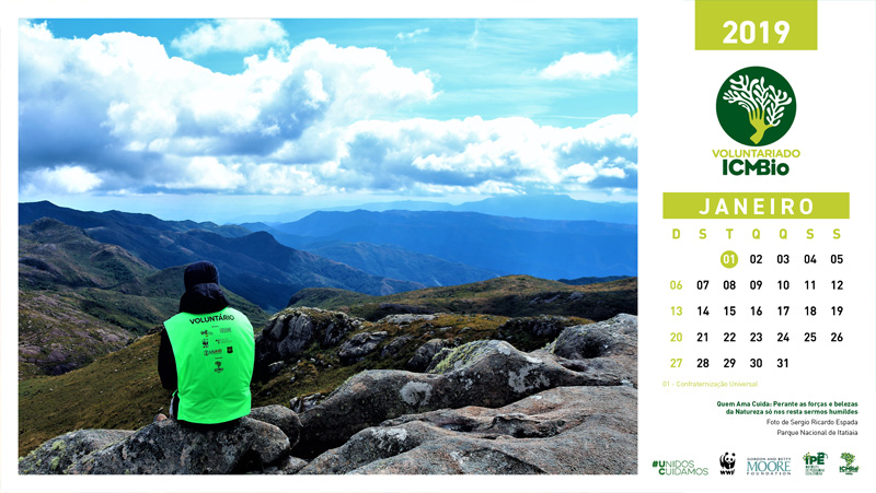 calend vol pag principal 2019