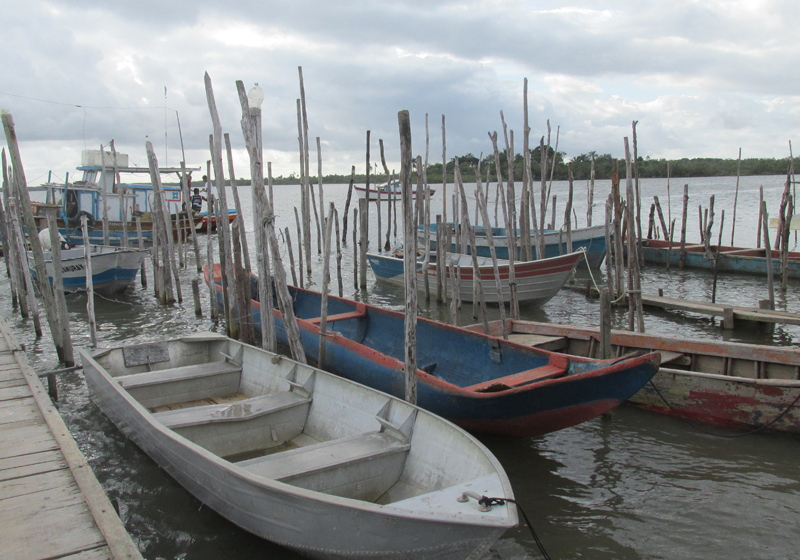 Monitoramento comunitário tem como foco os períodos de defeso reprodutivo das espécies (Foto: Acervo Resex Cassurubá)