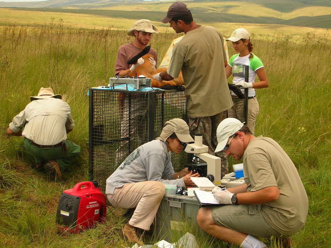 cenap Fernanda Azevedo
