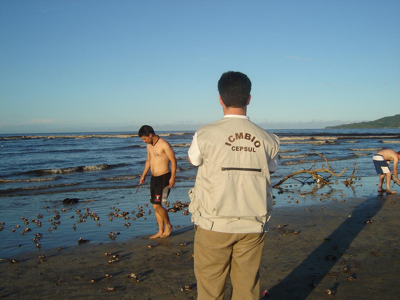 cepsul Acervo Cepsul