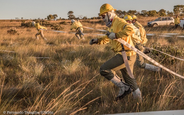 chapadadosveadeiros fernando tatagiba fill 700x438