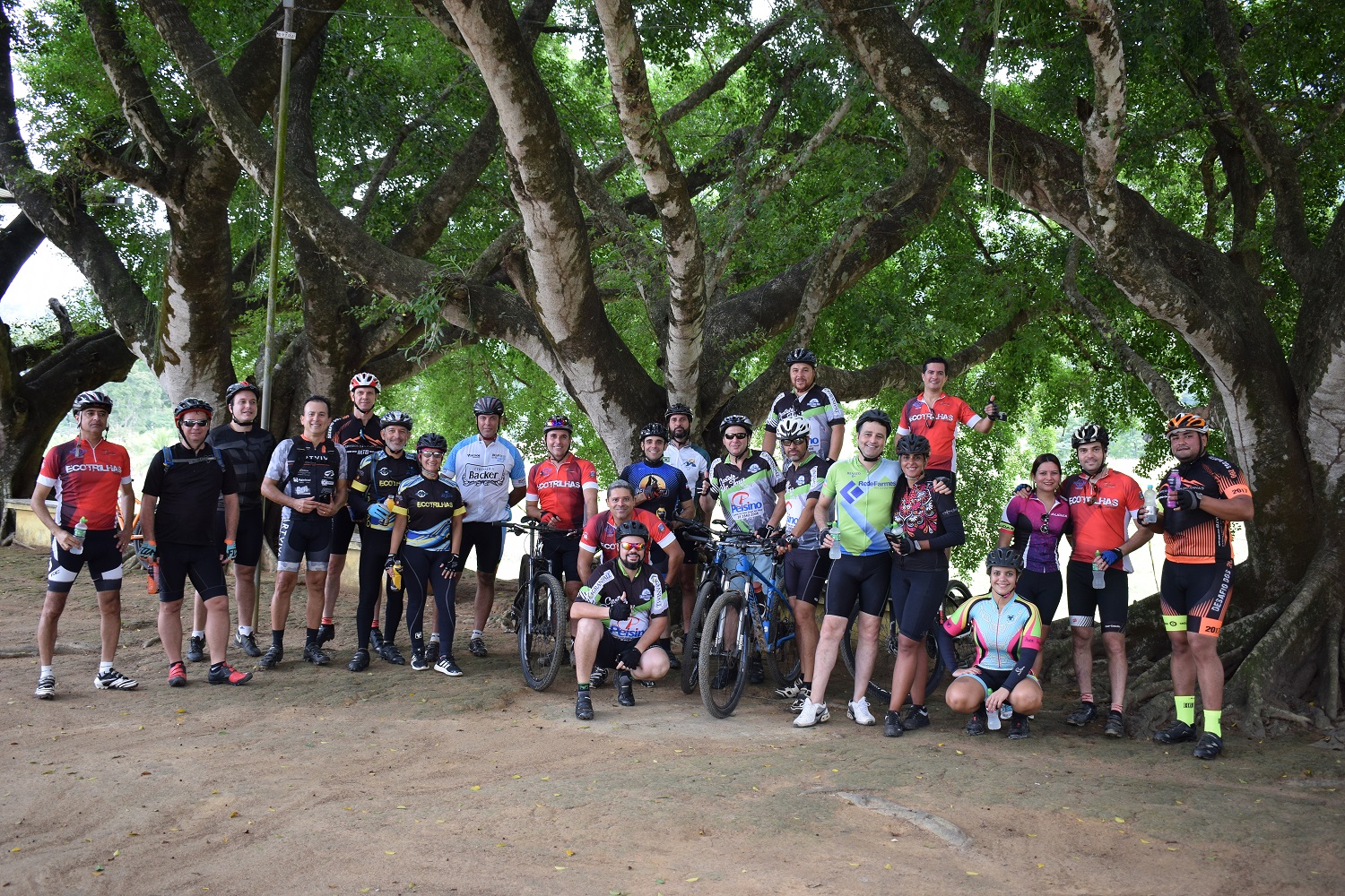 Comunidade de Campos Elízios1