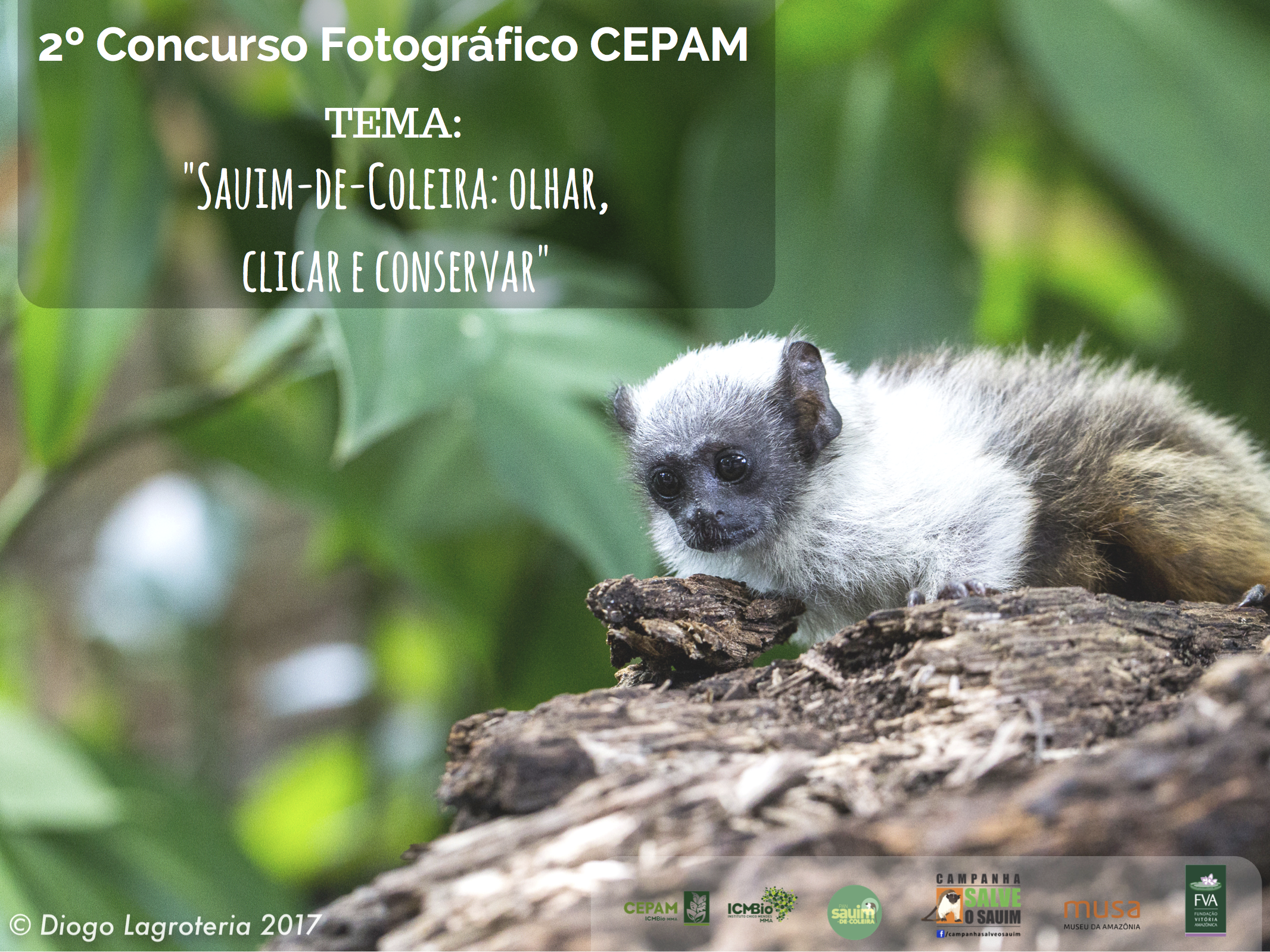 Concurso Credito da Foto Diogo Lagroteria