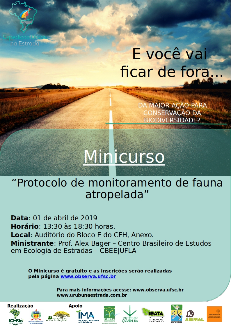 Curso urubu