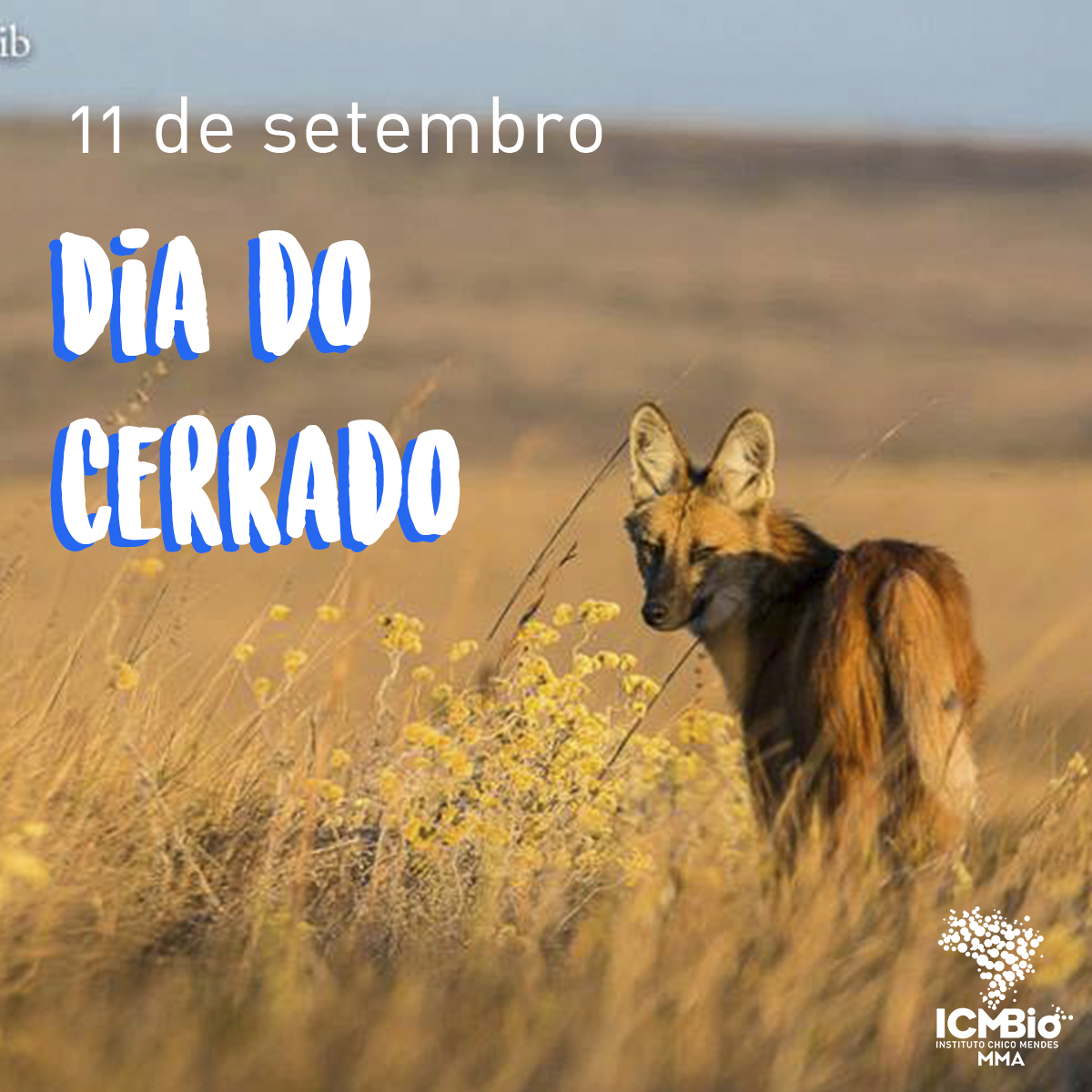 Dia do Cerrado