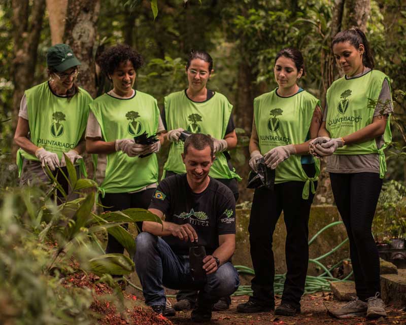 diadovoluntariado portal