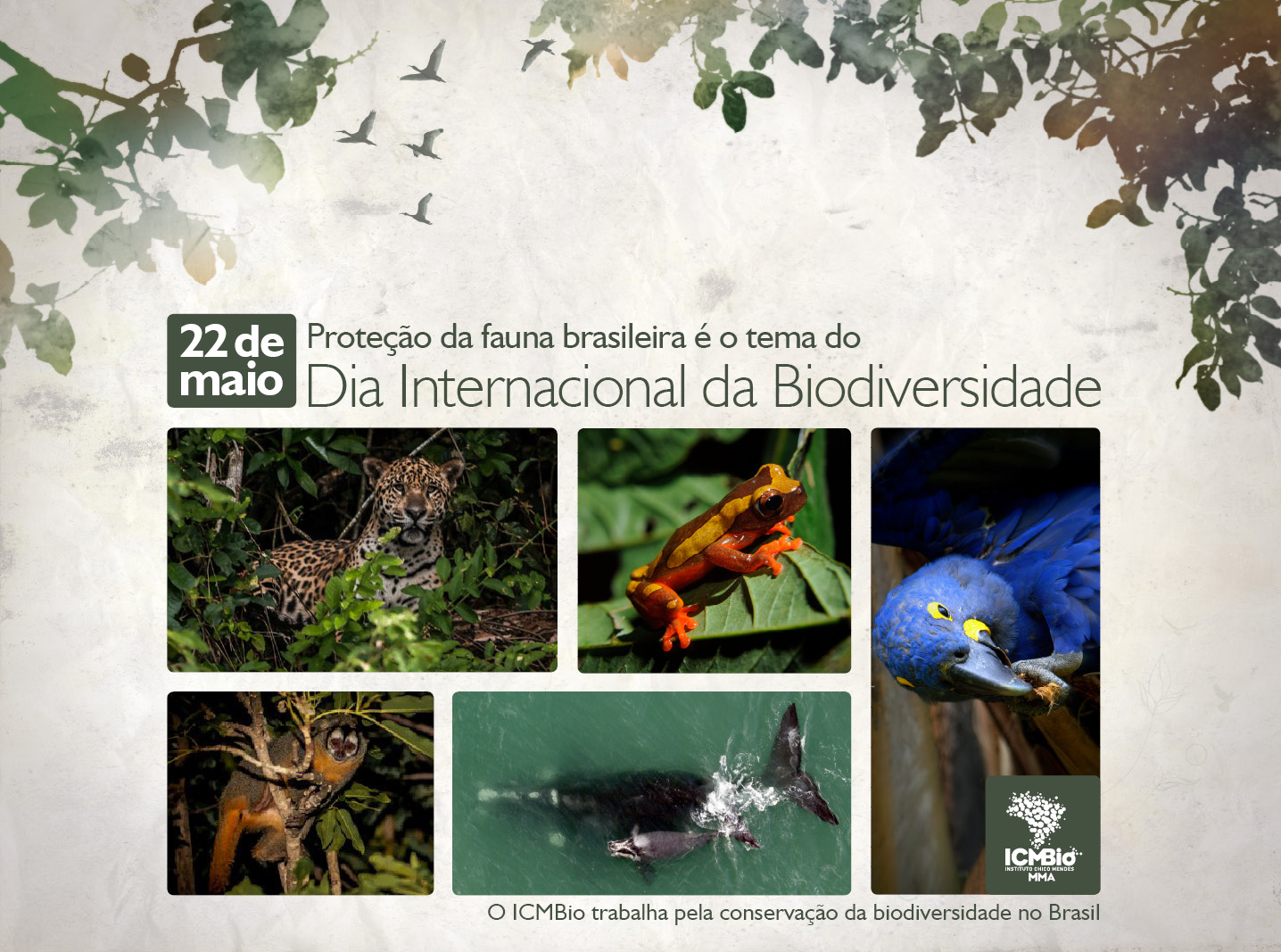 DiaInternacionalDaBiodiversidade