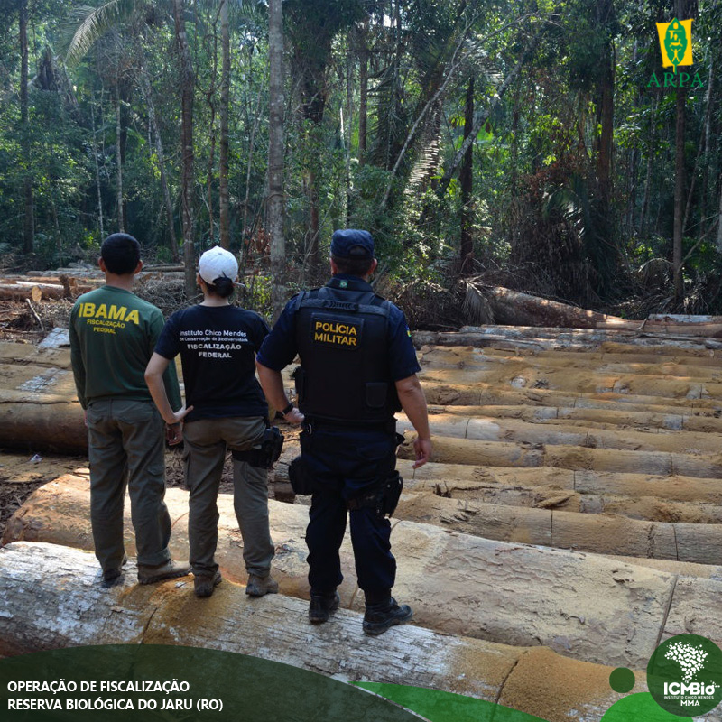 Agentes do Ibama, ICMBio e Polícia Militar