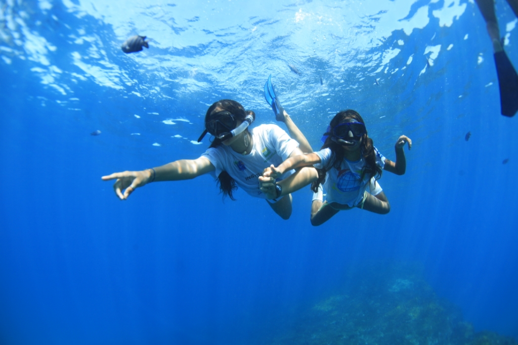 Educacao Ambiental 0