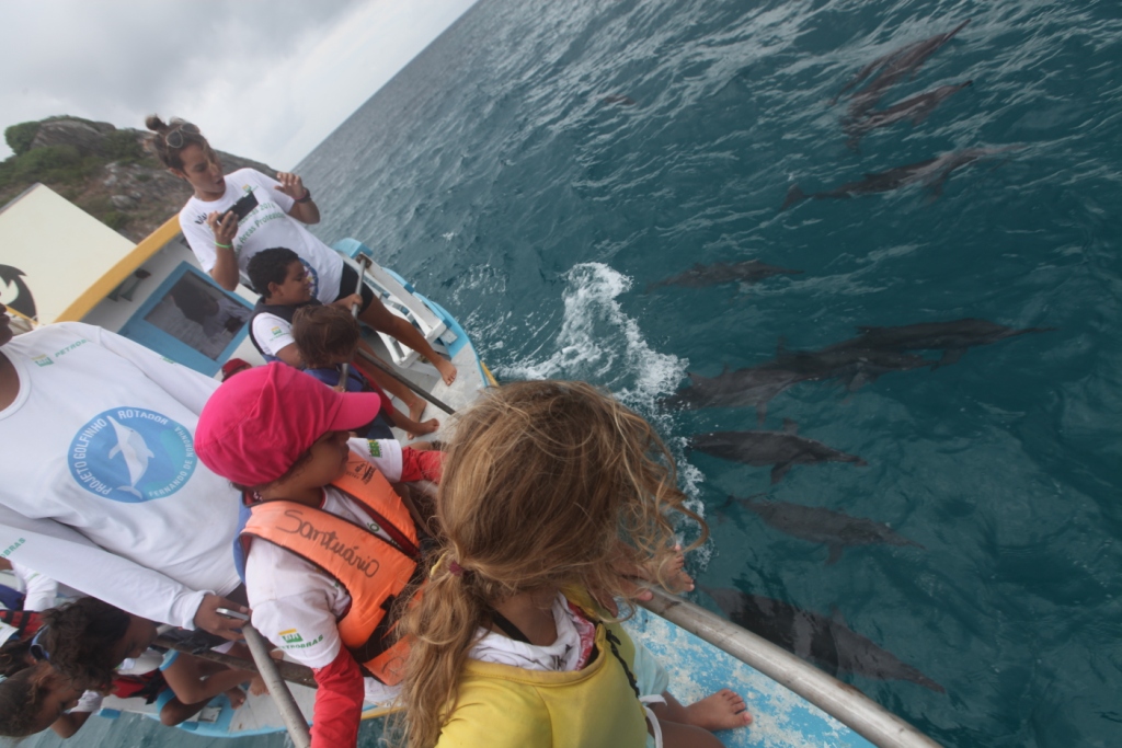 Educacao Ambiental 2