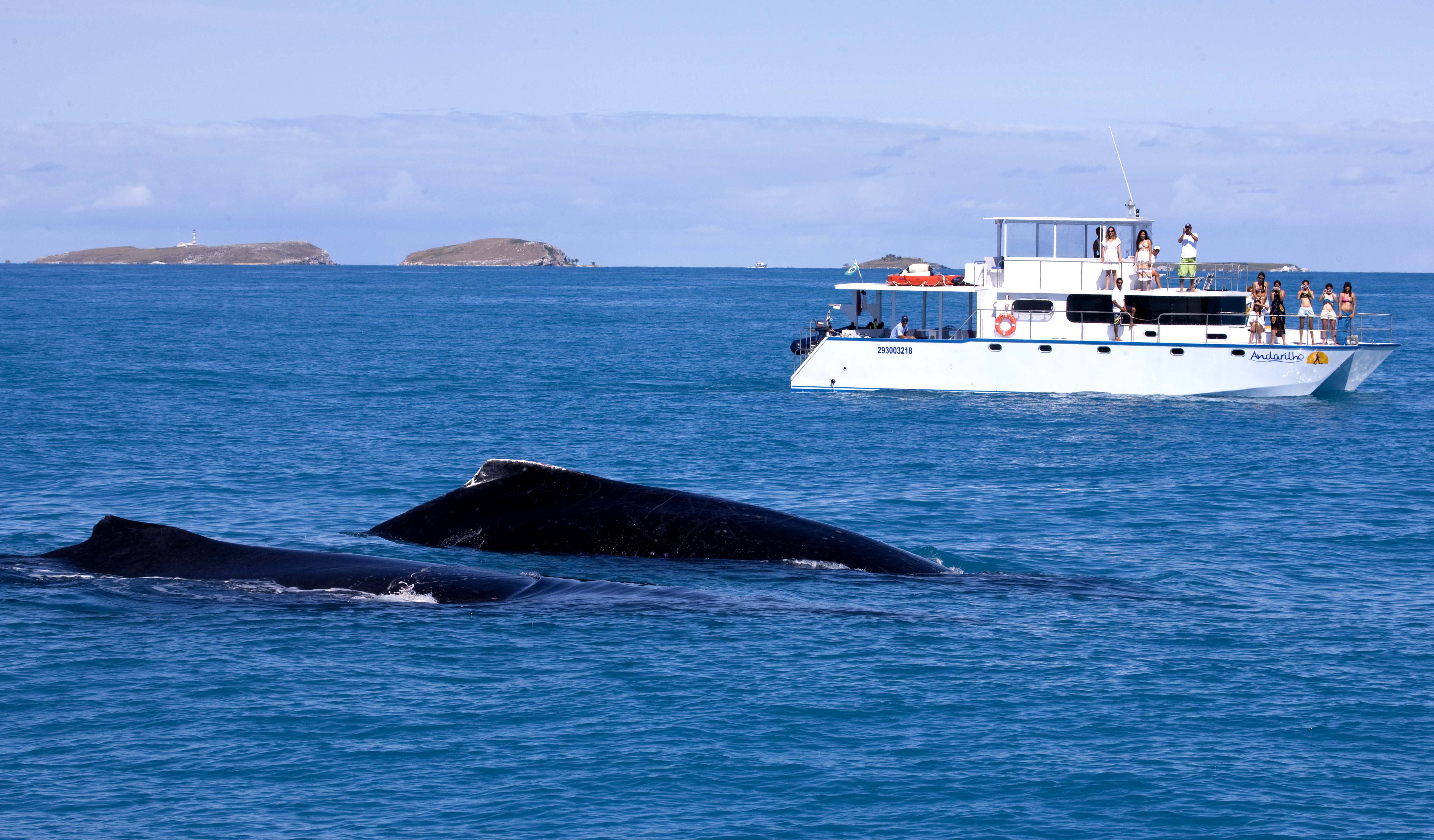 Enrico Marcovaldi 25