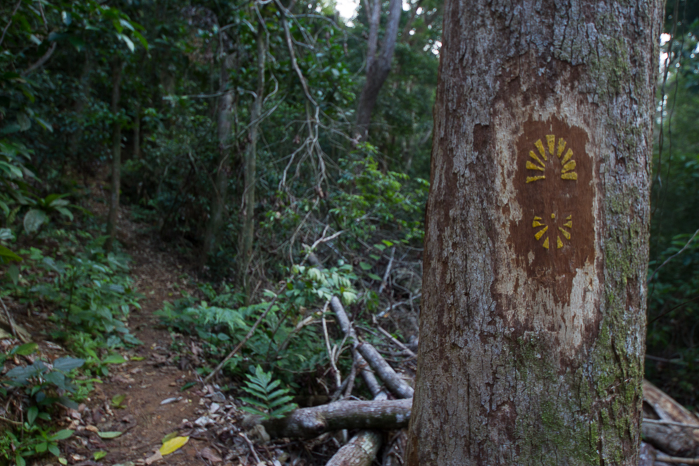 Foto: Ernesto V. Castro